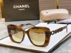 Designer Brand C Original Quality Sunglasses Come with Box 2021SS M8903