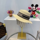 Designer Brand D Original Quality Straw Hat 2021SS M504