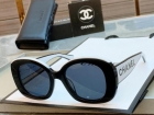 Designer Brand C Original Quality Sunglass Come with Box 2022SS M8906