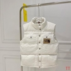 Design Brand TNF High Quality Men and Women Down Vest D1912 2024FW